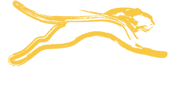 Yellow Jaguar — Техническое обслуживание автомобилей премиум-класса